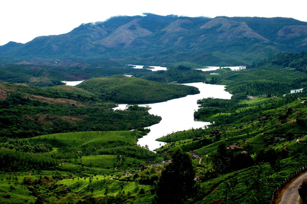 Munnar (4)